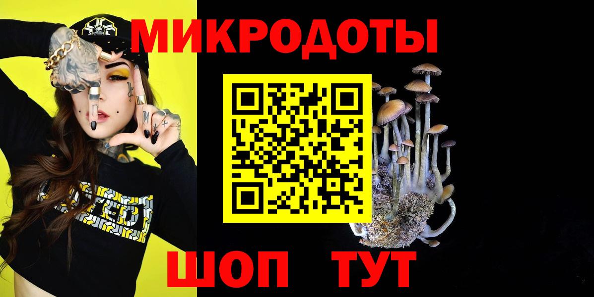 Псилоцибиновые грибы Psilocybe Долгопрудный