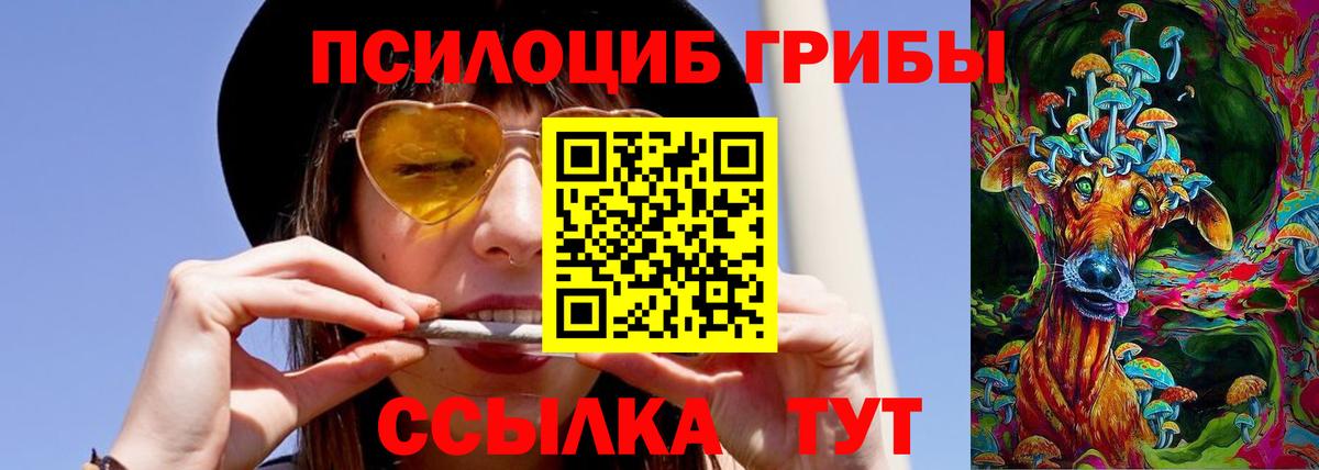 Долгопрудный  Галлюциногенные грибы Magic Shrooms  Вход с VPN 
