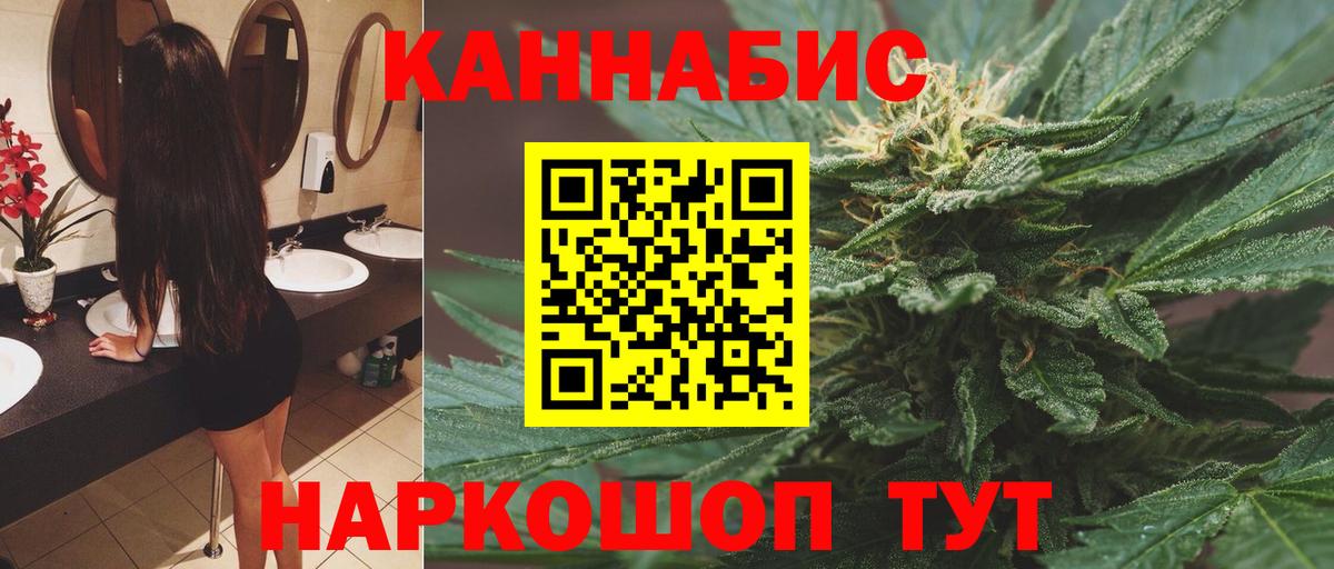Шишки марихуана марихуана Долгопрудный